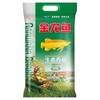 金龙鱼生态香稻大米5kg*1袋（新货） 商品缩略图0