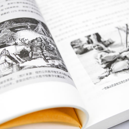 黄油 : 一部丰富的历史 伊莱恩·科斯罗瓦 著 世界历史文化书籍 商品图2