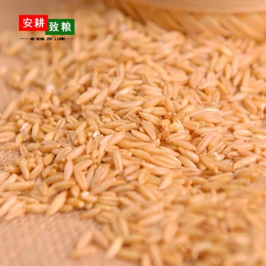 安耕致粮·有机燕麦米400g 商品图1