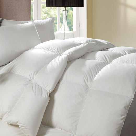 贝林翰鹅绒冬被（丹麦进口） 商品图1