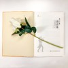 两分钟懂音乐：解密100首必听的西方名曲 商品缩略图4