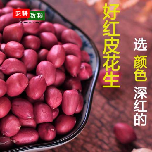 安耕致粮·有机花生米400g 商品图2