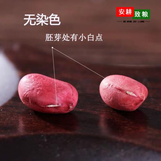 安耕致粮·有机花生米400g 商品图1