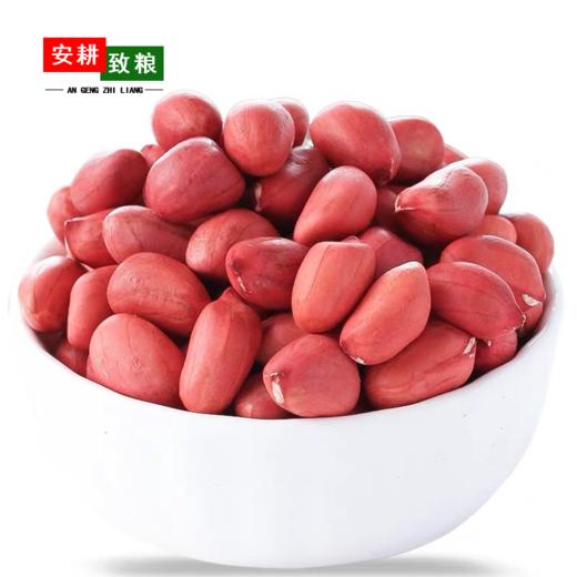 安耕致粮·有机花生米400g 商品图0