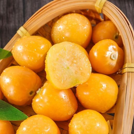 吉林大安菇娘果（又叫灯笼果）850g*1箱 商品图2