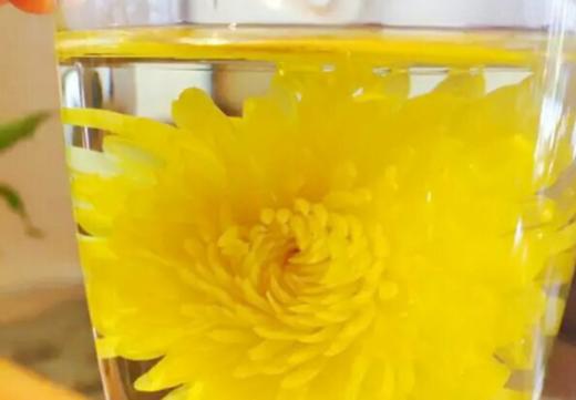 菊花茶 商品图1