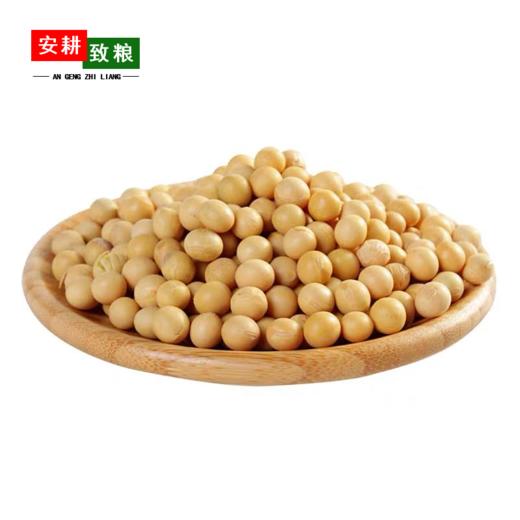 安耕致粮·有机黄豆400g 商品图1