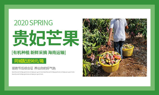 土豆text 商品图0