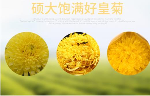 菊花茶 商品图4