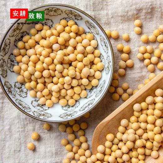 安耕致粮·有机黄豆400g 商品图0