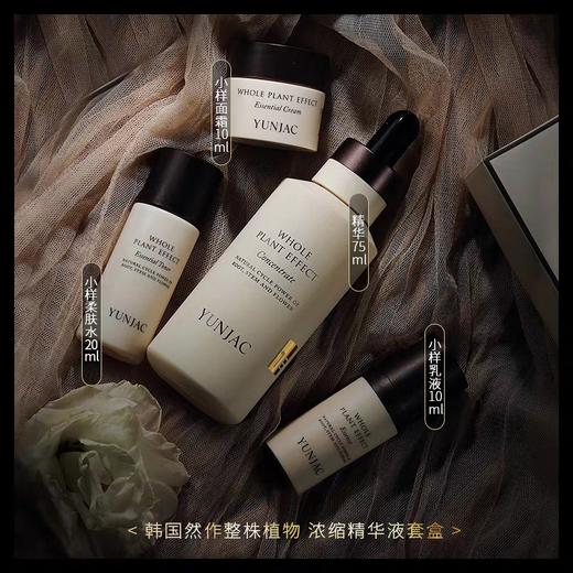 朱丹推荐YUNJAC然作植物浓缩精华液4件套28天重组肌肤 商品图2