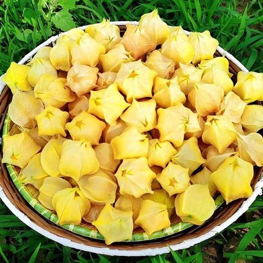 吉林大安菇娘果（又叫灯笼果）850g*1箱 商品图4