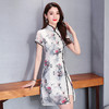 YYX-9276夏新款中国风复古修身显瘦短袖印花裙 商品缩略图0