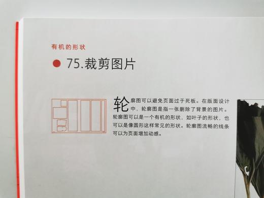 版式设计指南：网格应用的基本原则 商品图4