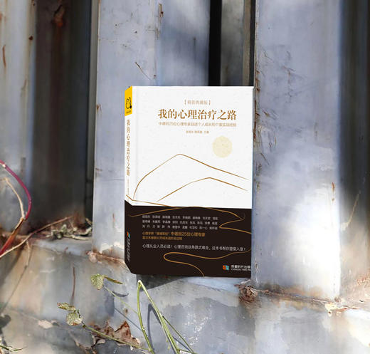 【精装典藏版】我的心理治疗之路  中德班25位心理专家自述个人成长和个案实战经验 商品图3