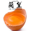 日本兰皇鸡蛋 | 蛋黄大而金亮橘黄色，口感微甜，无腥味，蛋香浓郁绵润，味醇入心！ 商品缩略图3