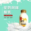 【遇见】驼奶风味酸乳245ml/瓶*15瓶 商品缩略图1
