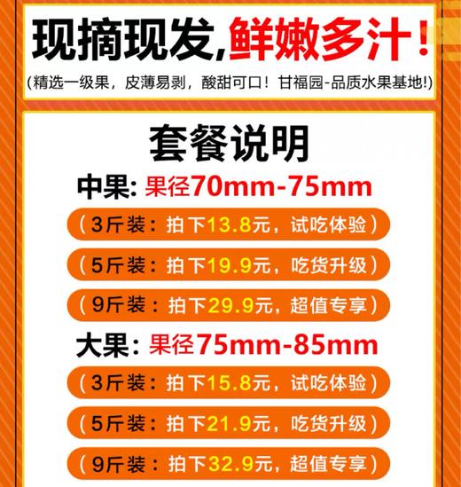 啦啦啦啦啦 商品图0