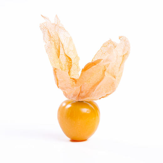 吉林大安菇娘果（又叫灯笼果）850g*1箱 商品图11