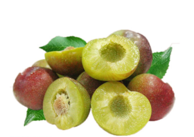 青红脆李500g±50g