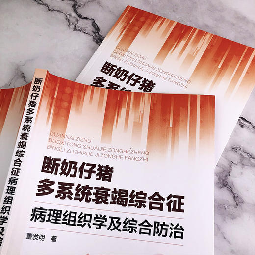 断奶仔猪多系统衰竭综合征病理组织学及综合防治  母猪仔猪病虫害防治病理组织学研究中药防治书籍 养猪书籍 猪病诊断治疗技术书籍 商品图4