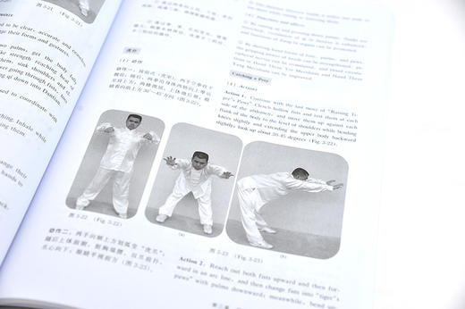 中国传统体育 董华龙 中国传统体育项目国际化推广发展书籍 健身气功五禽戏 24式简化太极拳中国武术中国功夫体育运动  视频教学 商品图4
