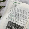 园林花卉与树木育苗新技术 苗玉芳 园林花卉苗木播种繁育书苗木扦插嫁接技术树木嫁接育苗种植大全园林植物整形修剪病虫害防治技术 商品缩略图4