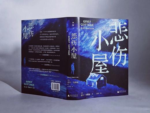 【“云端书展”专区】悲伤小屋 （美）盖尔·戈德温著  商品图3