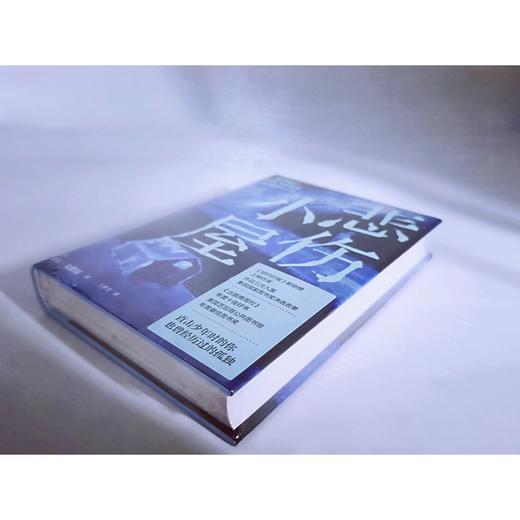 【“云端书展”专区】悲伤小屋 （美）盖尔·戈德温著  商品图4