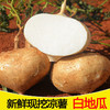 广西凉薯现挖新鲜蔬菜水果农家自种白地瓜豆薯番薯2/5/9斤包邮 商品缩略图7