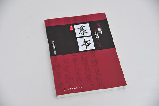 你也能写一手好的毛笔字 篆书 篆书书写姿势基本功训练 篆书经典碑帖篆书书写运用创作教程书籍 篆书毛笔书法技巧书籍 视频教学 商品图4