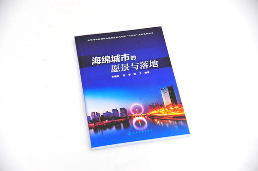 海绵城市的愿景与落地 齐珊娜 城市建设研究书 海绵城市建设综合城市水管理海绵城市规划优秀案例 海绵城市建设管理湿地公园建设书 商品图4