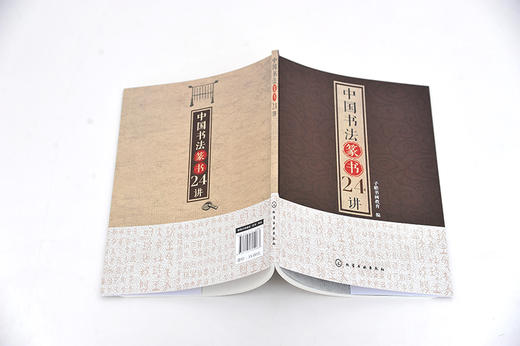 中国书法篆书24讲 小篆书毛笔字帖软笔书法临摹帖练习书籍 书法技法篆书隶书行书楷书草书碑帖名家鉴品鉴赏名家名作图解赏析书法书 商品图3
