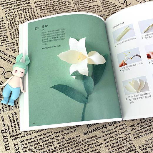 四季花朵立体剪纸手作书 山本惠美子 成人手工制作diy剪纸图解教程教材书籍 手工剪纸 立体折纸 手工剪纸花艺剪纸手工纸艺剪纸书籍 商品图4
