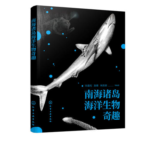 南海诸岛海洋生物奇趣  宋盛宪 南海珊湖礁鱼类贝类棘皮动物爬行动物海洋动植物科普书籍 中小学生课外读物海洋生物百科普类书籍 商品图5