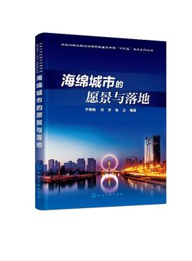 海绵城市的愿景与落地 齐珊娜 城市建设研究书 海绵城市建设综合城市水管理海绵城市规划优秀案例 海绵城市建设管理湿地公园建设书
