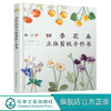 四季花朵立体剪纸手作书 山本惠美子 成人手工制作diy剪纸图解教程教材书籍 手工剪纸 立体折纸 手工剪纸花艺剪纸手工纸艺剪纸书籍 商品缩略图0