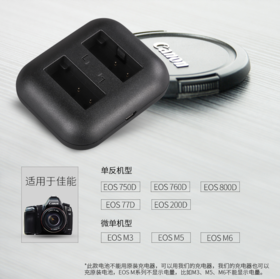 斯丹德LP-E17相机电池适用佳能单反照相机EOS微单 750D 760D 800D 77D M3 M5 M6 200D 大容量套装