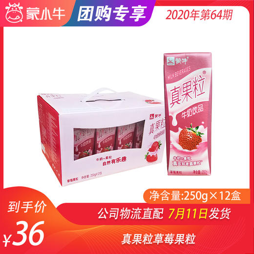 真果粒草莓果粒250g×12盒 商品图0