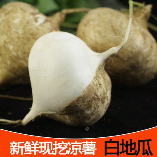 广西凉薯现挖新鲜蔬菜水果农家自种白地瓜豆薯番薯2/5/9斤包邮 商品图1