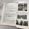 园林花卉与树木育苗新技术 苗玉芳 园林花卉苗木播种繁育书苗木扦插嫁接技术树木嫁接育苗种植大全园林植物整形修剪病虫害防治技术 商品缩略图2