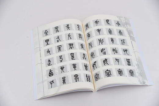 你也能写一手好的毛笔字 篆书 篆书书写姿势基本功训练 篆书经典碑帖篆书书写运用创作教程书籍 篆书毛笔书法技巧书籍 视频教学 商品图2