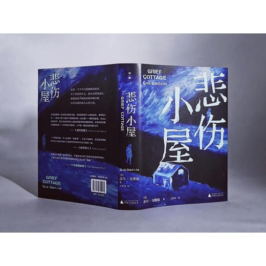 【“云端书展”专区】悲伤小屋 （美）盖尔·戈德温著  商品图1