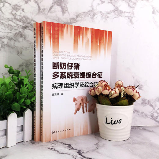 断奶仔猪多系统衰竭综合征病理组织学及综合防治  母猪仔猪病虫害防治病理组织学研究中药防治书籍 养猪书籍 猪病诊断治疗技术书籍 商品图2