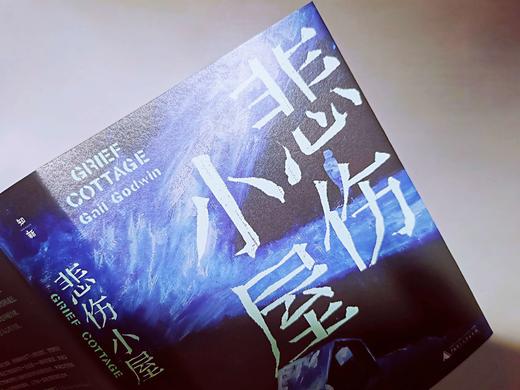 【“云端书展”专区】悲伤小屋 （美）盖尔·戈德温著  商品图2