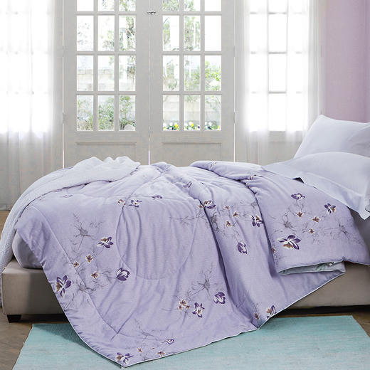 【氧气直购节】钱皇100%桑蚕丝被 夏凉被单人双人被子被芯 空调被薄被 商品图1