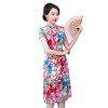 AA-9690夏新品A字真丝旗袍裙中国风时尚修身中式礼服 商品缩略图4