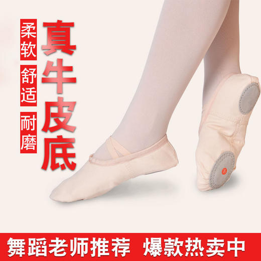YYW-儿童软底练功鞋 成人猫爪幼儿形体芭蕾舞鞋瑜伽鞋 商品图0