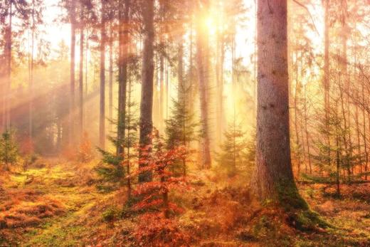 卡色-梦幻磁吸滤镜 商品图2