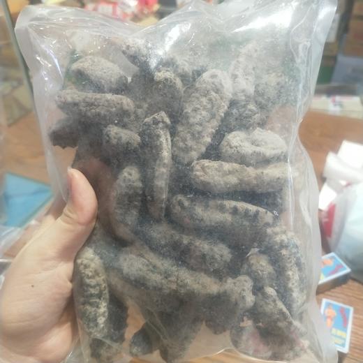 野生刺皇参30--40头 商品图0